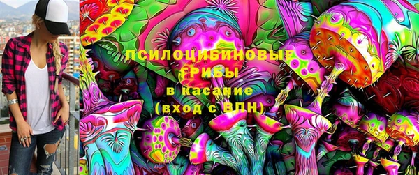 PSILOCYBIN Абинск