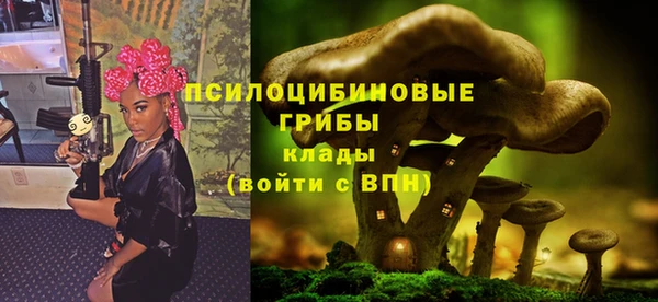 PSILOCYBIN Абинск