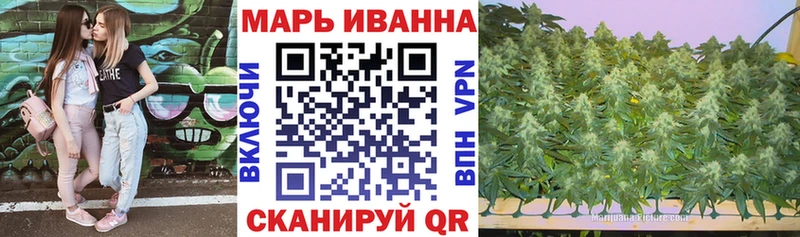 Бошки Шишки семена  Алдан 